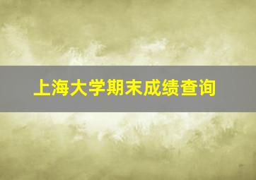 上海大学期末成绩查询