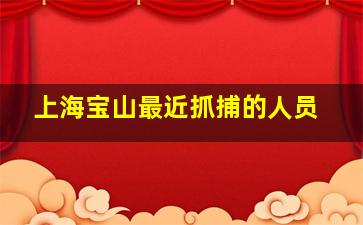 上海宝山最近抓捕的人员