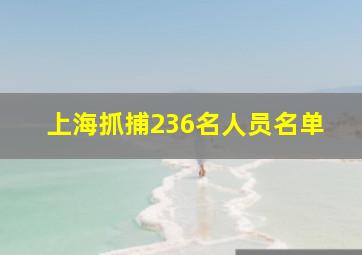 上海抓捕236名人员名单