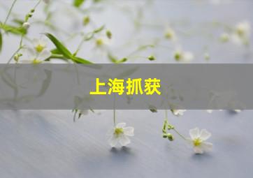 上海抓获