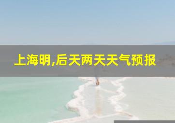 上海明,后天两天天气预报