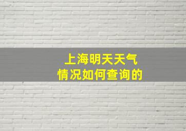 上海明天天气情况如何查询的