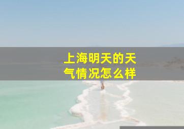 上海明天的天气情况怎么样