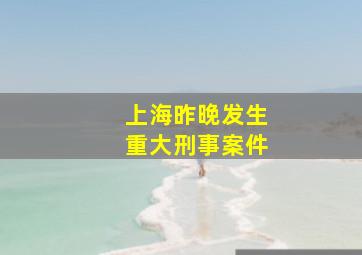 上海昨晚发生重大刑事案件