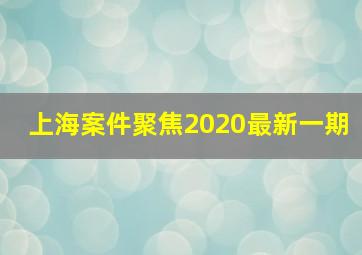 上海案件聚焦2020最新一期