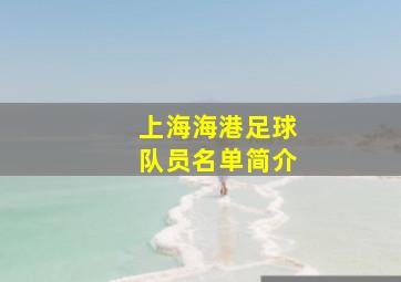 上海海港足球队员名单简介