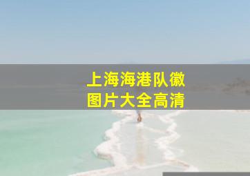 上海海港队徽图片大全高清