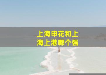 上海申花和上海上港哪个强