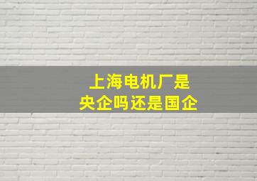 上海电机厂是央企吗还是国企