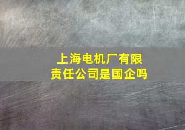 上海电机厂有限责任公司是国企吗