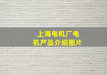 上海电机厂电机产品介绍图片