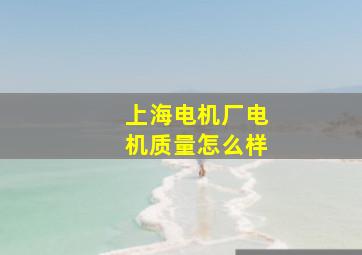 上海电机厂电机质量怎么样