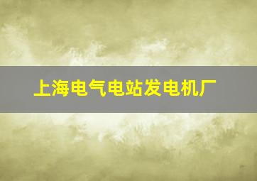 上海电气电站发电机厂