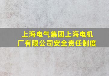 上海电气集团上海电机厂有限公司安全责任制度