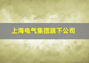 上海电气集团旗下公司