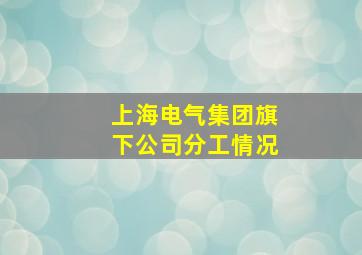 上海电气集团旗下公司分工情况