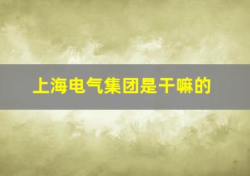 上海电气集团是干嘛的