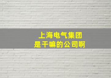 上海电气集团是干嘛的公司啊