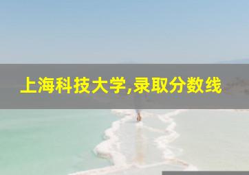 上海科技大学,录取分数线