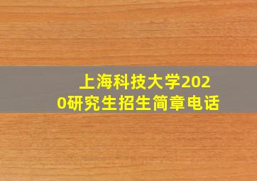 上海科技大学2020研究生招生简章电话