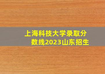 上海科技大学录取分数线2023山东招生