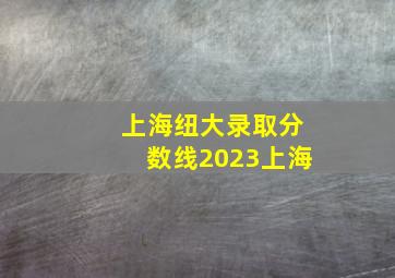 上海纽大录取分数线2023上海