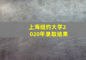 上海纽约大学2020年录取结果