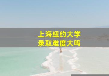 上海纽约大学录取难度大吗