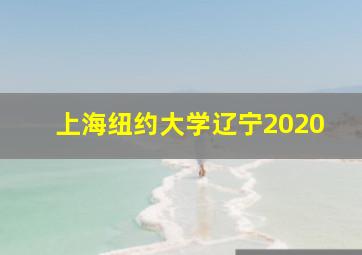 上海纽约大学辽宁2020