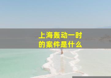 上海轰动一时的案件是什么