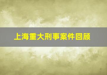 上海重大刑事案件回顾