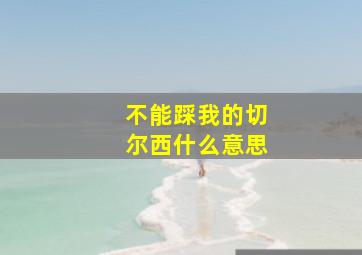 不能踩我的切尔西什么意思