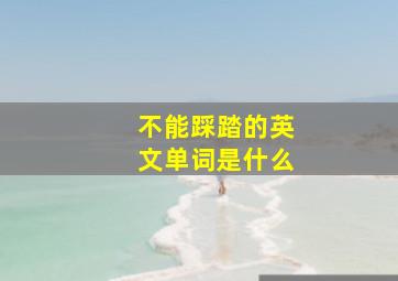 不能踩踏的英文单词是什么