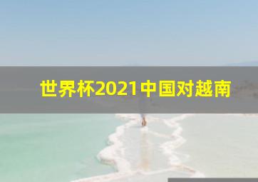 世界杯2021中国对越南