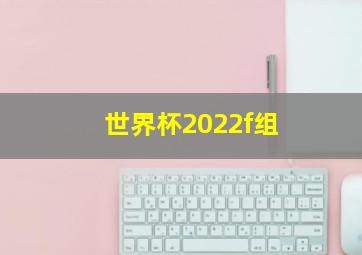 世界杯2022f组