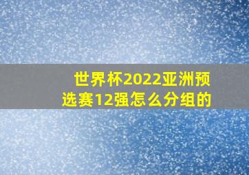 世界杯2022亚洲预选赛12强怎么分组的