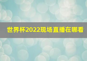 世界杯2022现场直播在哪看