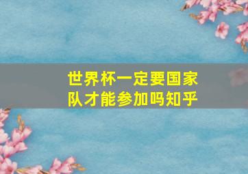 世界杯一定要国家队才能参加吗知乎