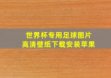 世界杯专用足球图片高清壁纸下载安装苹果