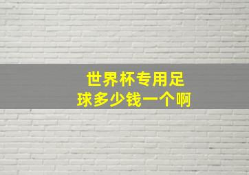 世界杯专用足球多少钱一个啊