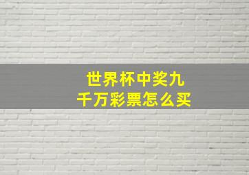 世界杯中奖九千万彩票怎么买