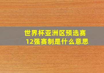 世界杯亚洲区预选赛12强赛制是什么意思