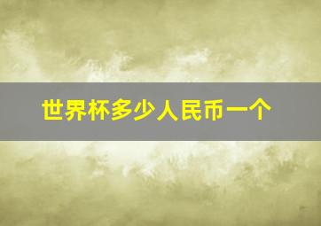 世界杯多少人民币一个