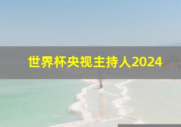 世界杯央视主持人2024