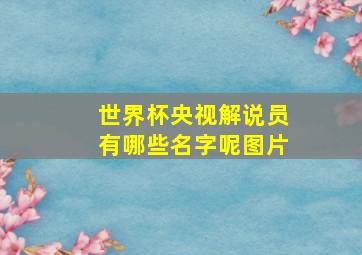 世界杯央视解说员有哪些名字呢图片