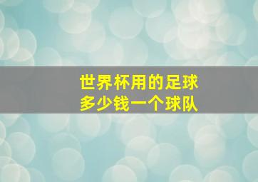 世界杯用的足球多少钱一个球队