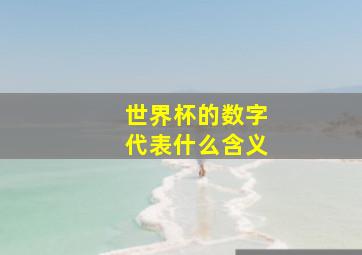 世界杯的数字代表什么含义