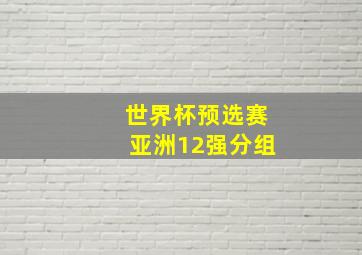 世界杯预选赛亚洲12强分组