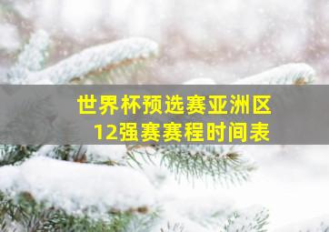 世界杯预选赛亚洲区12强赛赛程时间表