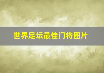 世界足坛最佳门将图片